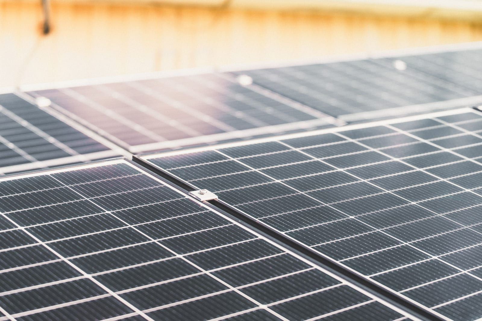 Solarmodule auf einem Dach im warmen Abendlicht